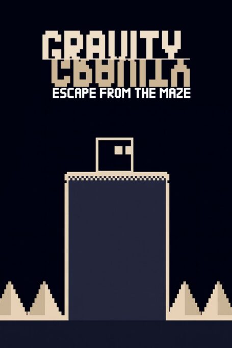 Imagem do jogo Gravity Escape from the Maze