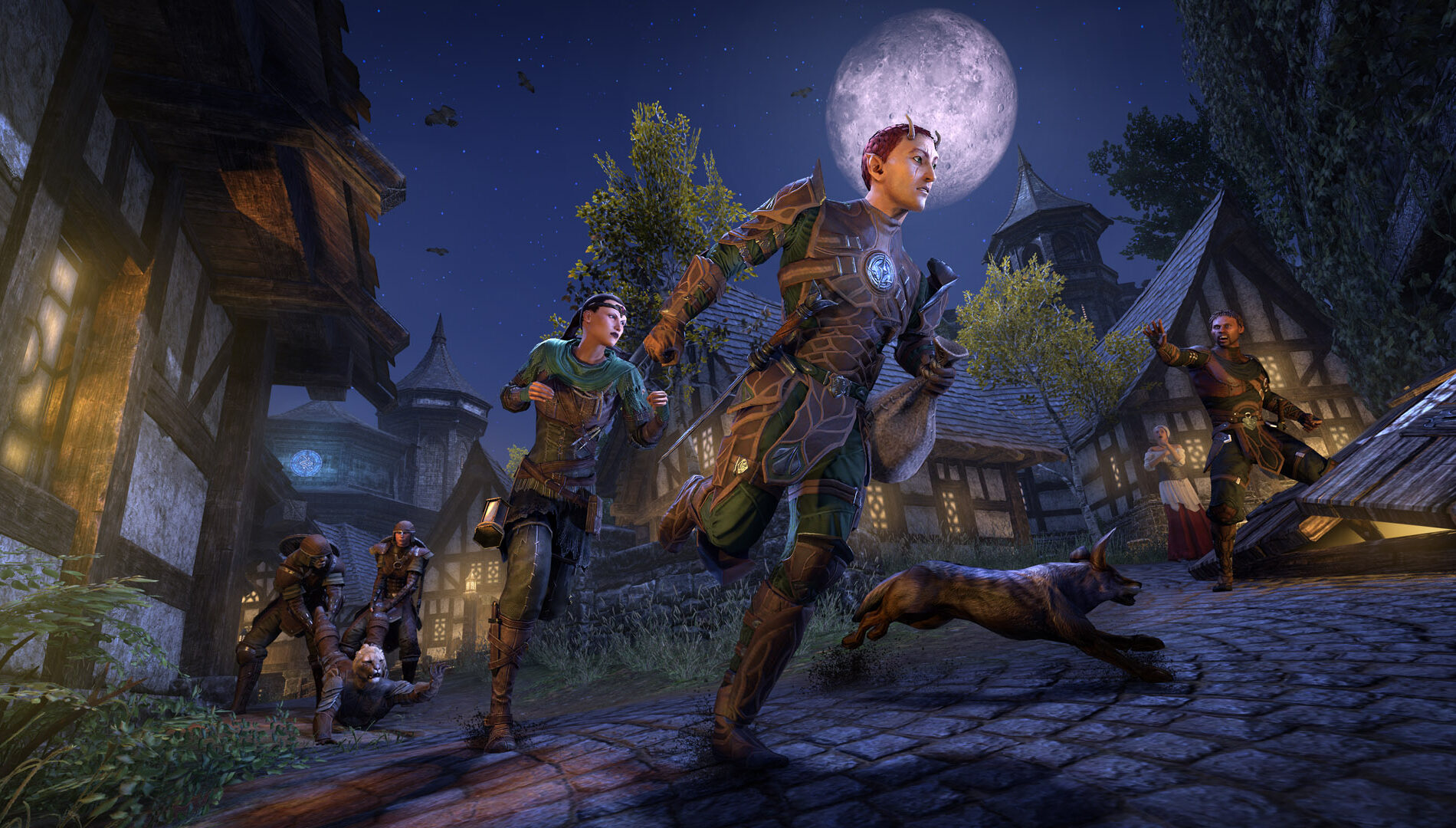 Imagem do jogo The Elder Scrolls Online