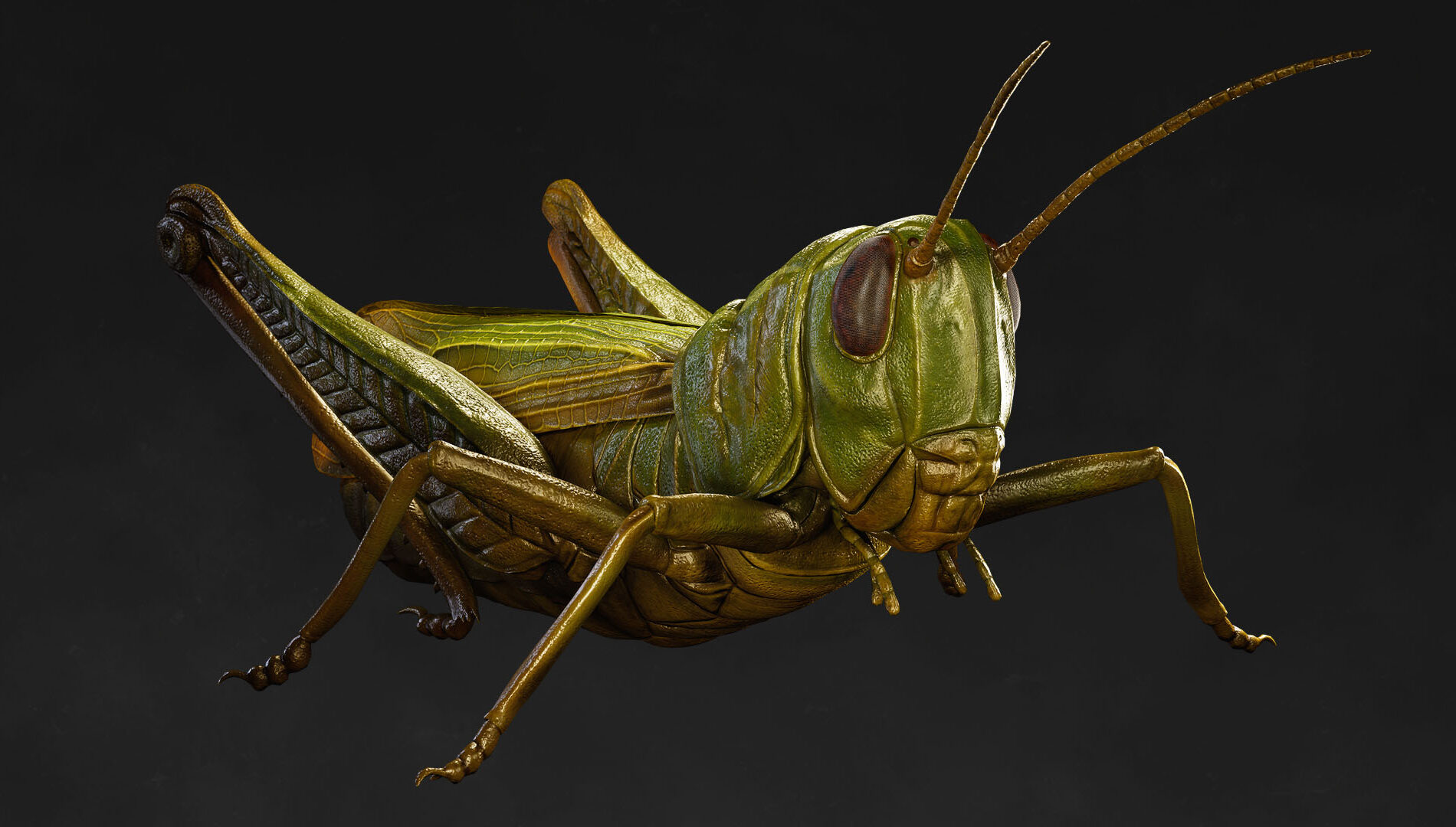 Imagem do jogo Smalland 2: Lost Realms